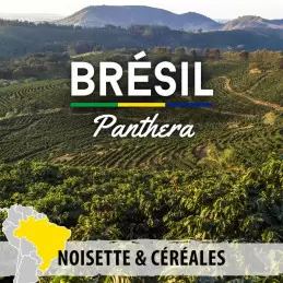 Brésil - Cerrado Panthera - café en grain | 250g