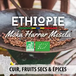 Éthiopie - Moka Harrar Mesela Bio - café moulu photo numéro 1