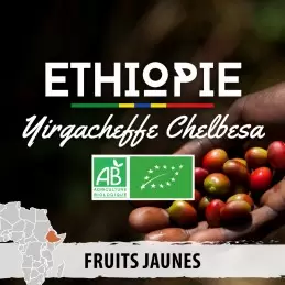 Éthiopie - Yirgacheffe Chelbesa Gedeo Bio - café en grain | 250g