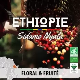 Éthiopie - Sidamo Nyala BIO - café moulu-5831