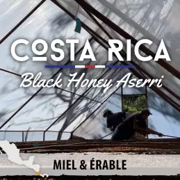 Costa Rica - Black Honey Aserri - café moulu