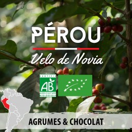 Café du Pérou BIO | Velo de Novia | Région de Cajamarca | 250G moulus